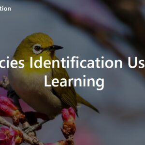 JPDL20-Bird Species Identification Using Deep Learning