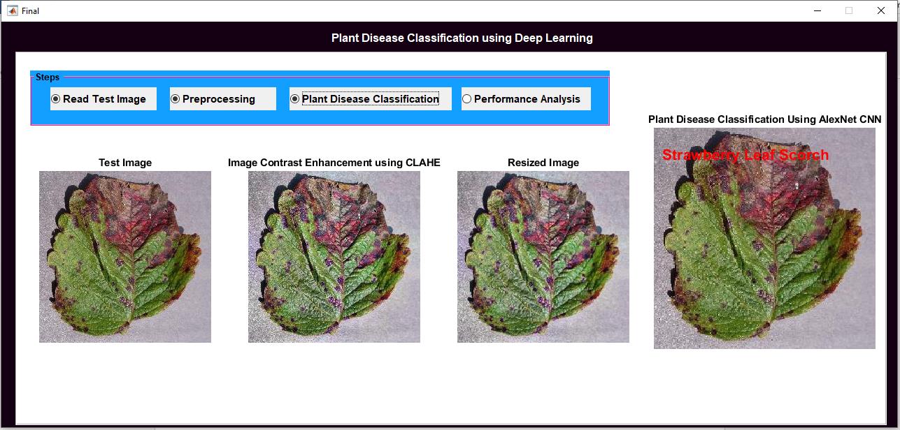 JPM2306-Identification of Plant Disease