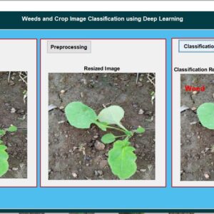 JPM2308-Weeds and Crop Image Classification