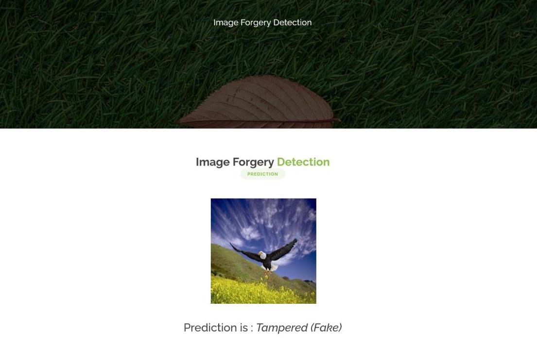 JPPY2309-Digital Image Forgery Detection