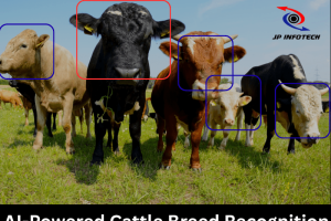 JPPY2517-AI-Powered Cattle Breed Recognition